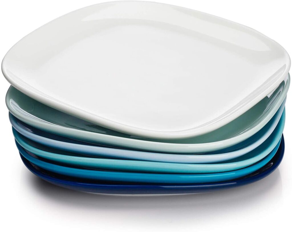 Sweese porcelain dinner plates.
