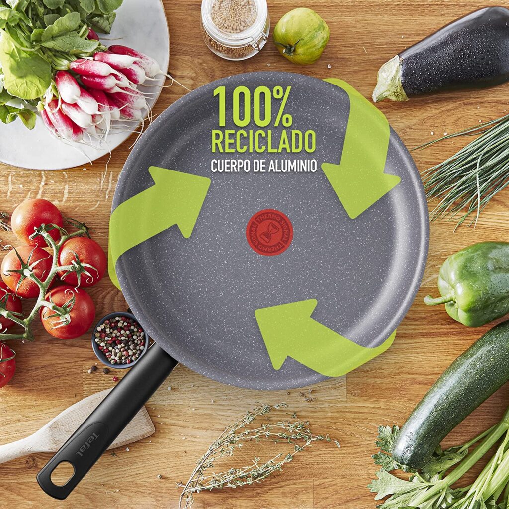 Tefal natural induction frying pan 